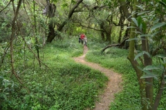 2011-09-22-Selva-en-galeria-jpg
