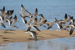 2011-10-13-al-16-083